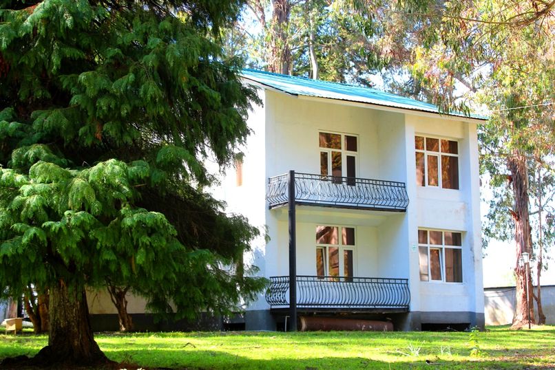 ЭВКАЛИПТОВАЯ РОЩА,отель эконом - 3