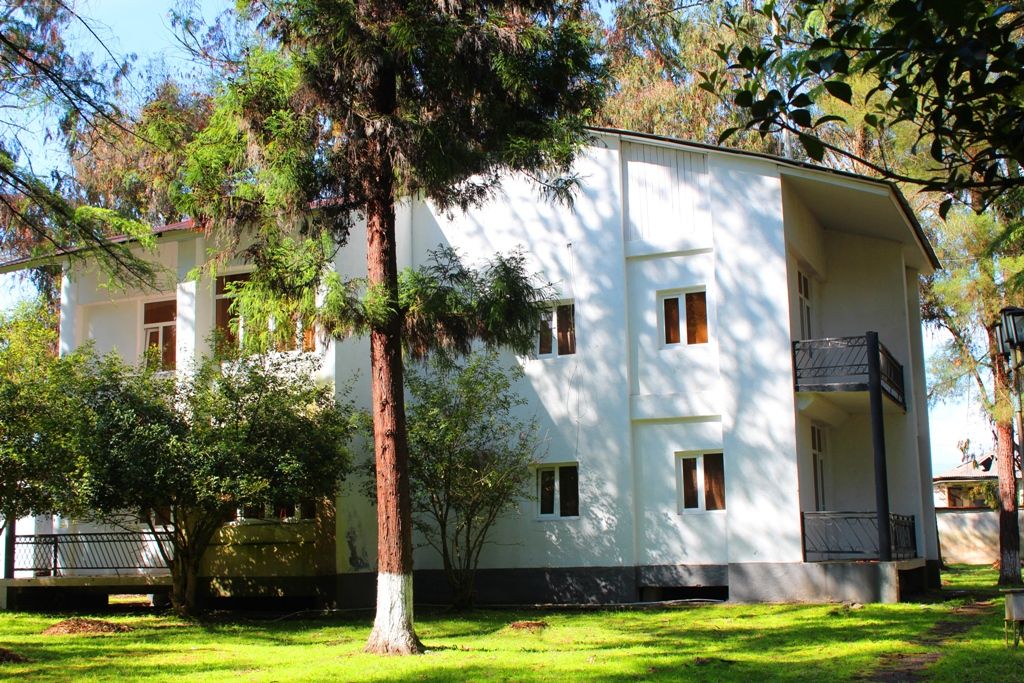 ЭВКАЛИПТОВАЯ РОЩА,отель эконом - 11