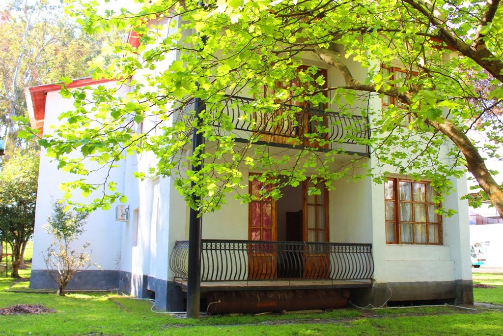 ЭВКАЛИПТОВАЯ РОЩА,отель эконом - 12