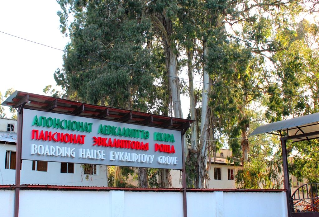 ЭВКАЛИПТОВАЯ РОЩА,отель эконом - 4