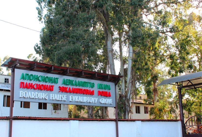 ЭВКАЛИПТОВАЯ РОЩА,отель эконом - 4