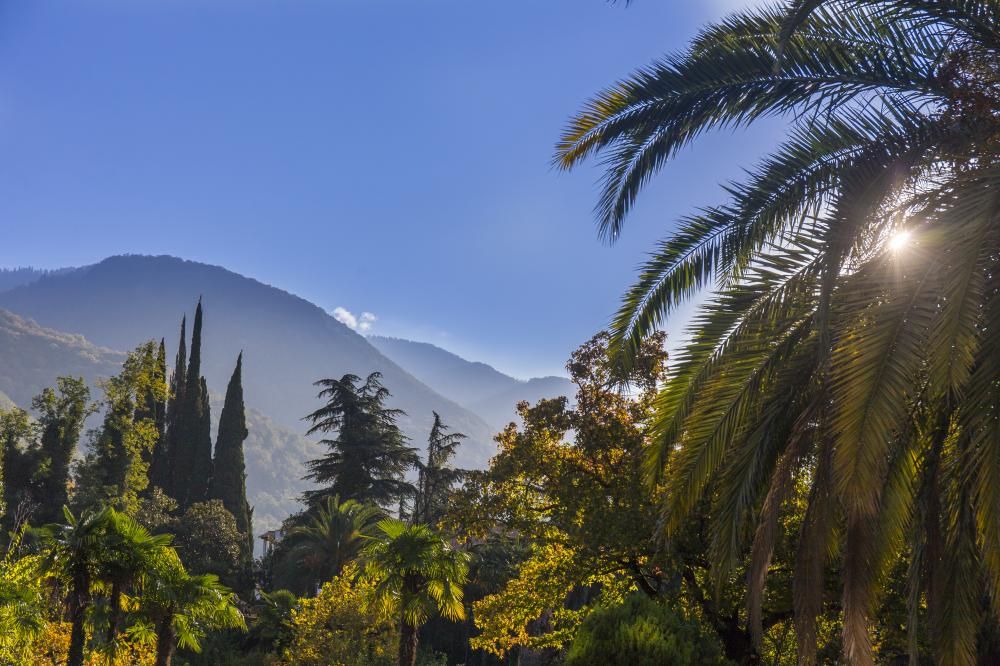 SUNRISE GARDEN HOTEL (САНРАЙЗ ГАРДЕН), отель комфорт - 10