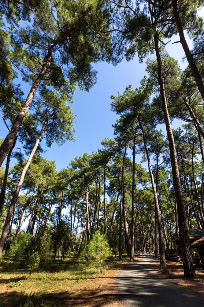 Картинка отеля - 9