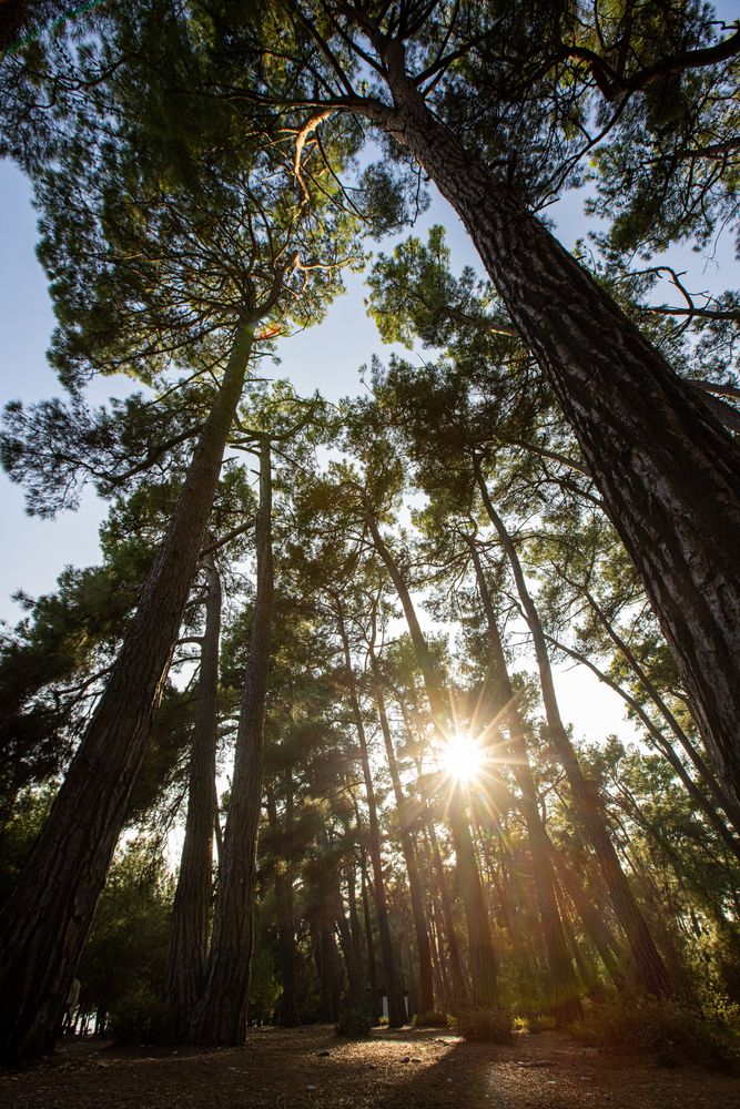 АПСАРА (APSARA), отель стандарт - 4