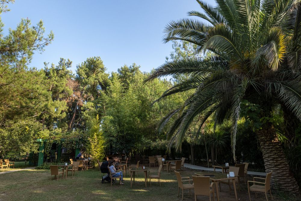 Картинка отеля - 10