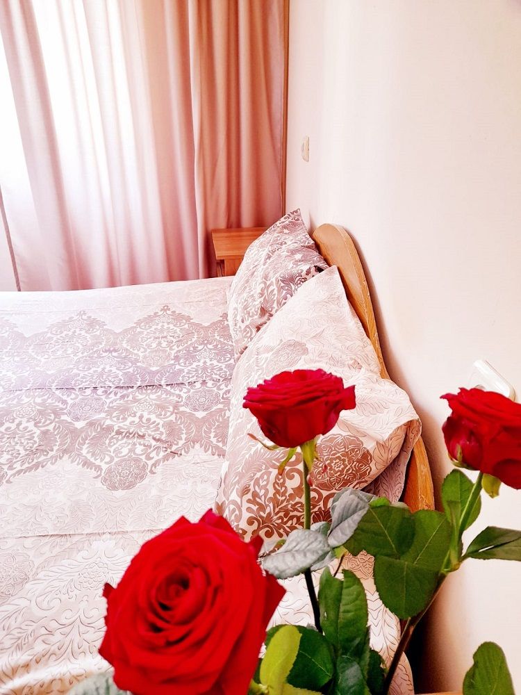 МЕГА, гостиница эконом - 17