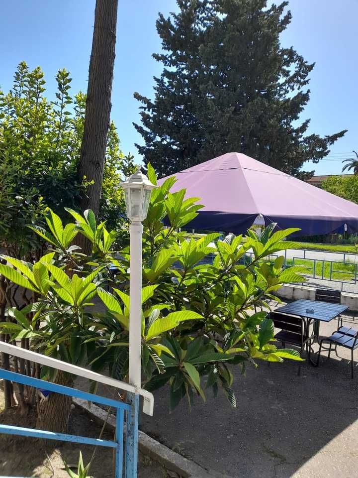 Картинка отеля - 7