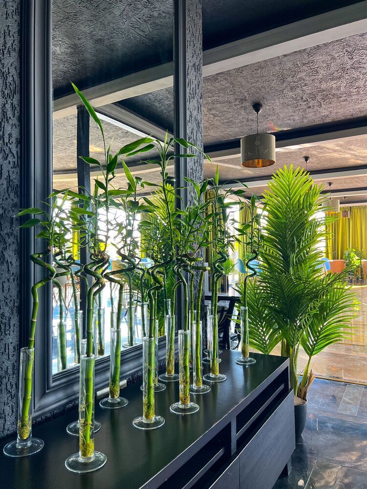 Картинка отеля - 10