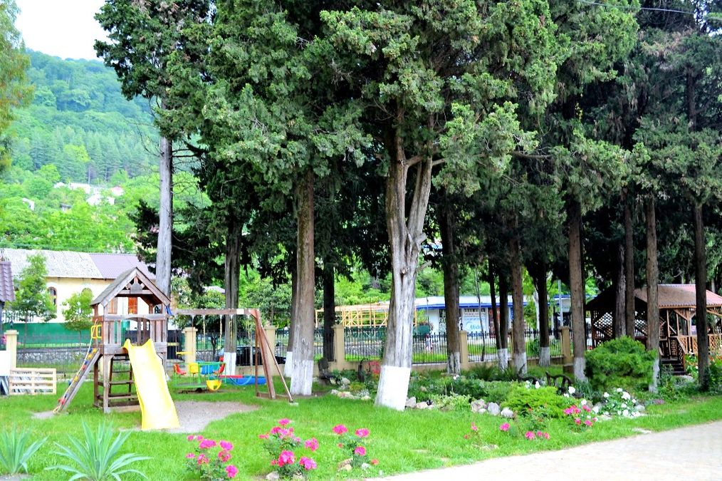 Картинка отеля - 38