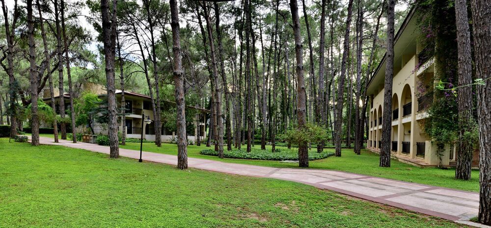 Champion Holiday Village    - 4