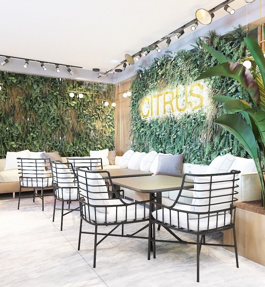 Картинка отеля - 4