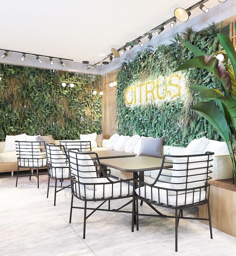 CITRUS, отель стандарт (бывш. ЦИТРУС) - 4