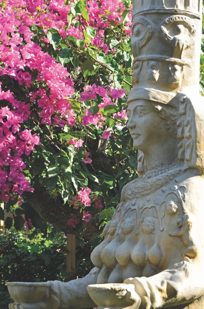 Картинка отеля - 14