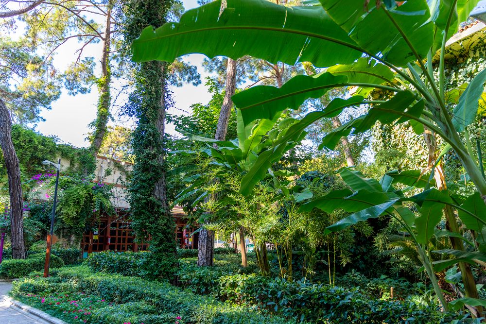 Картинка отеля - 12