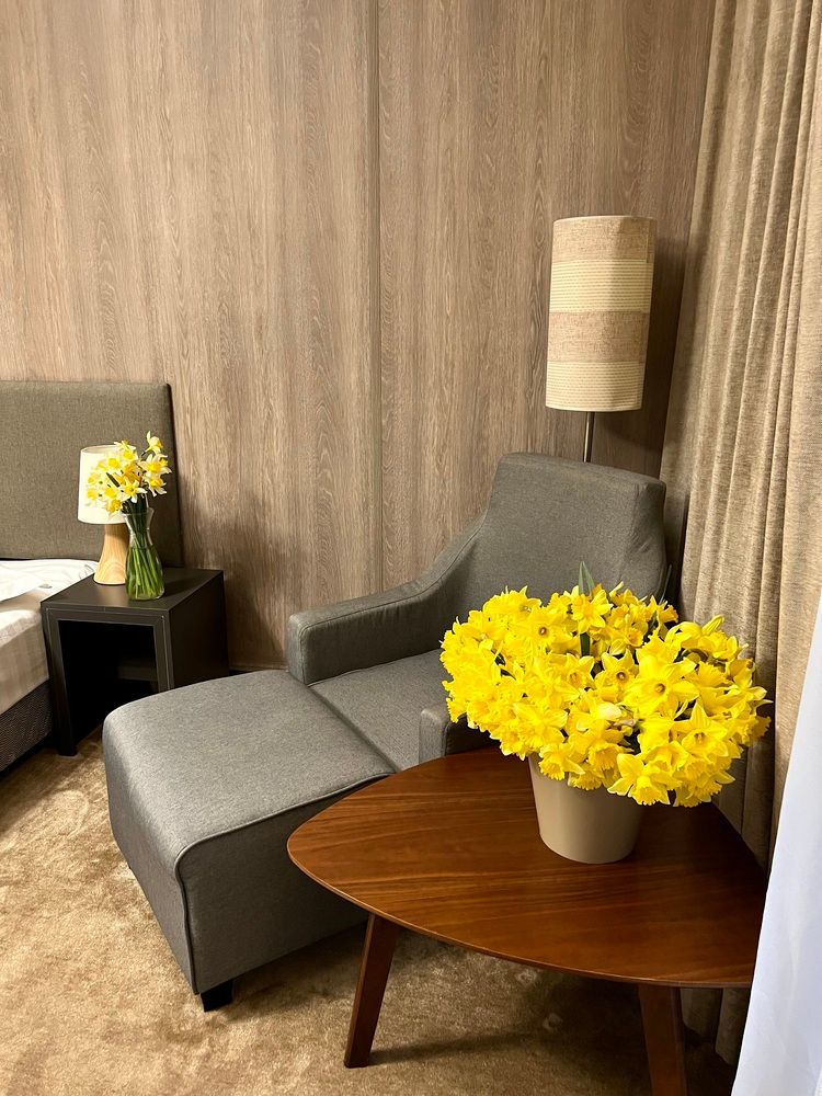 ABAASH HOTEL AFON, отель комфорт - 21