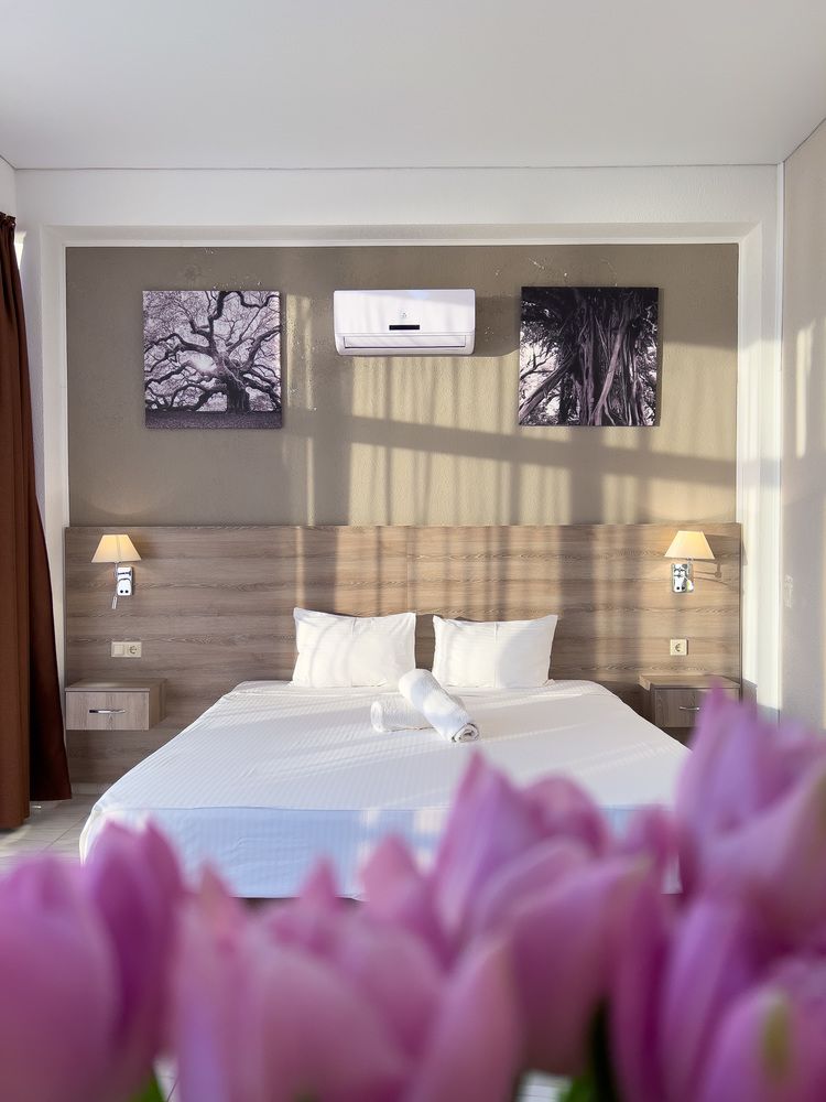 CLUB HOTEL BEREG EVKALIPTOV (БЕРЕГ ЭВКАЛИПТОВ), отель комфорт - 101