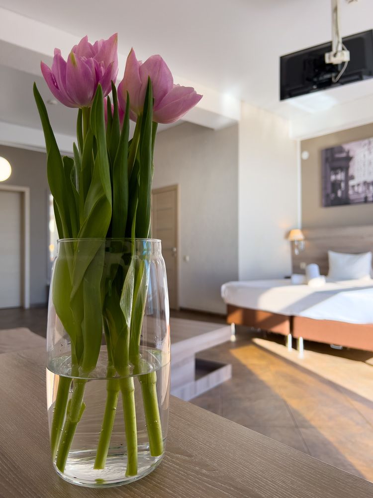 CLUB HOTEL BEREG EVKALIPTOV (БЕРЕГ ЭВКАЛИПТОВ), отель комфорт - 81