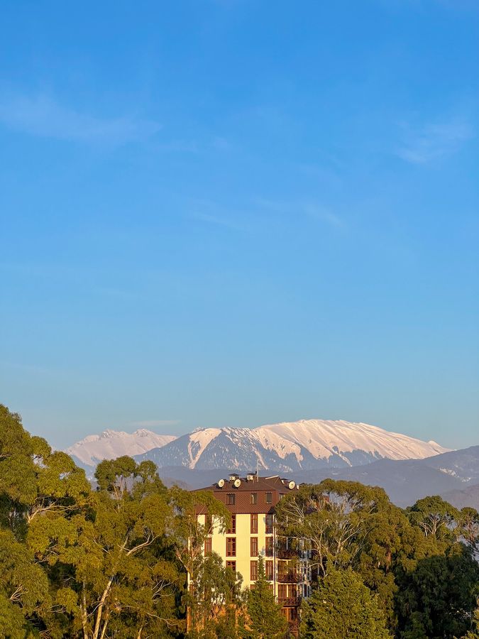 CLUB HOTEL BEREG EVKALIPTOV (БЕРЕГ ЭВКАЛИПТОВ), отель комфорт - 15