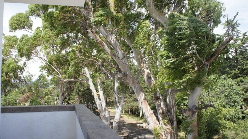 CLUB HOTEL BEREG EVKALIPTOV (БЕРЕГ ЭВКАЛИПТОВ), отель комфорт - 3