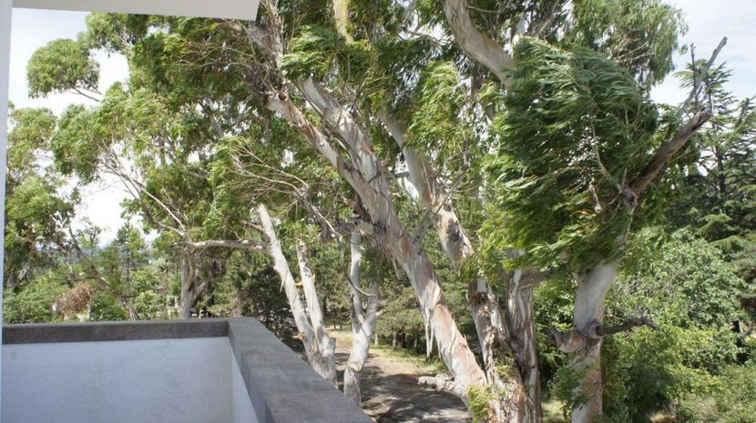 CLUB HOTEL BEREG EVKALIPTOV (БЕРЕГ ЭВКАЛИПТОВ), отель комфорт - 3