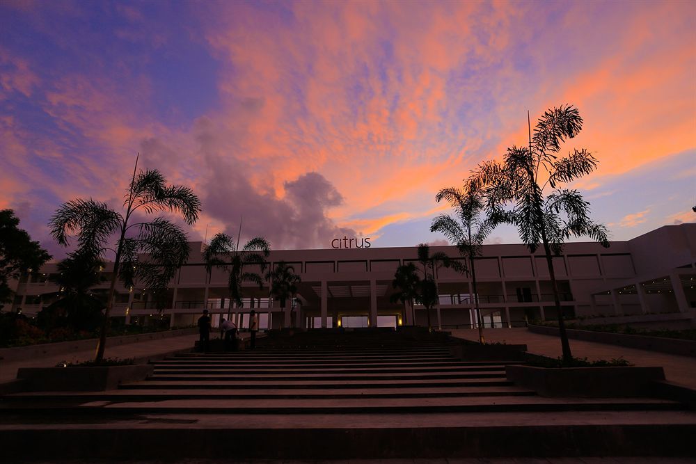 CITRUS, WASKADUWA - 1