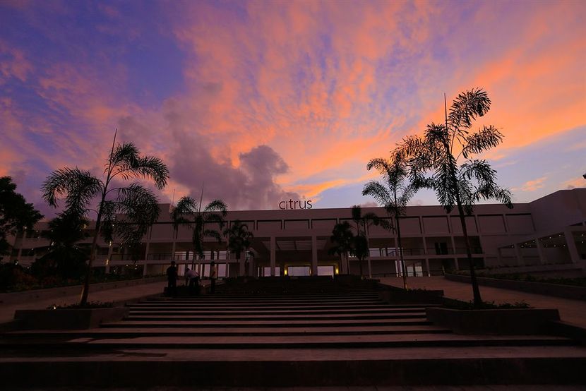 CITRUS, WASKADUWA - 1