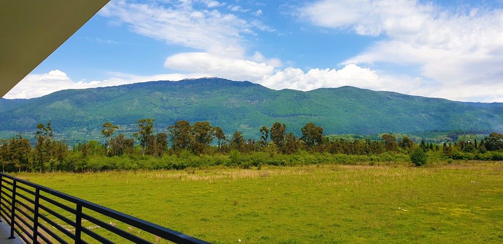 Картинка отеля - 16