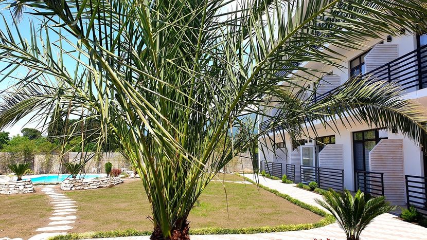 CLUB RESORT HOTEL OASIS (ОАЗИС), отель стандарт - 4