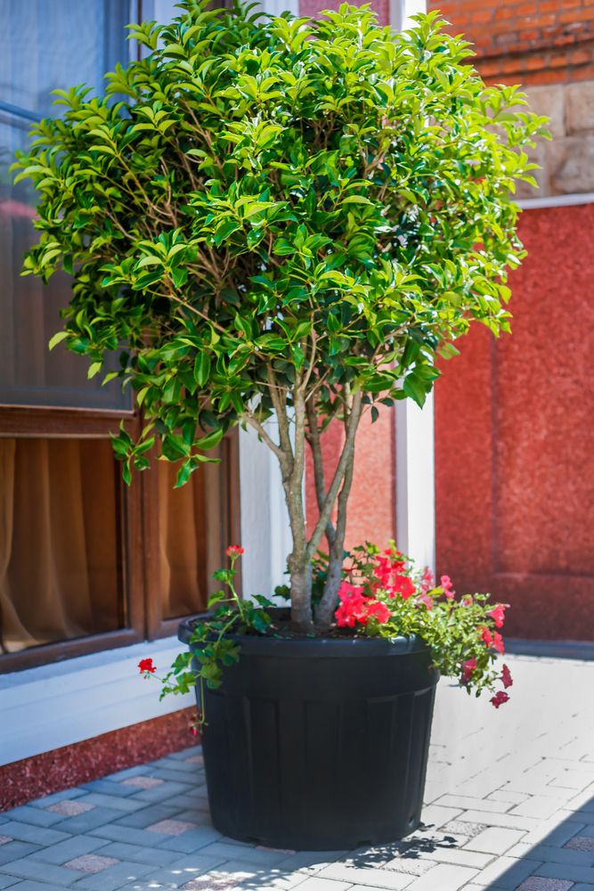 Картинка отеля - 18