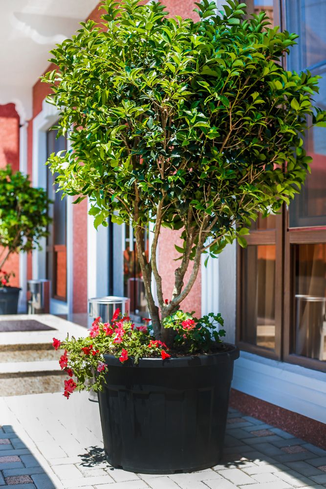 Картинка отеля - 17