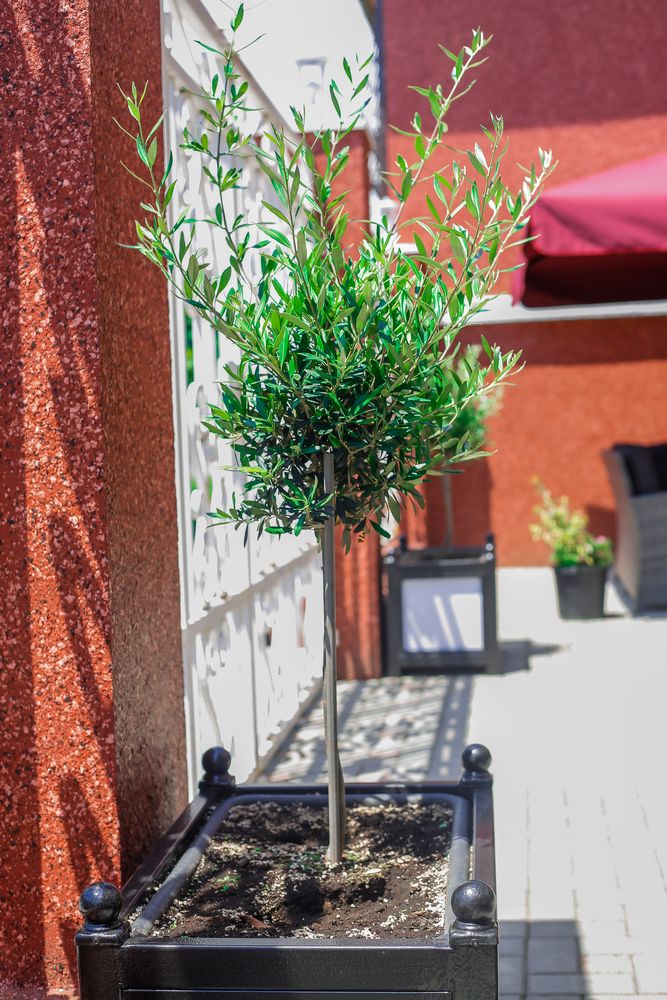 Картинка отеля - 16