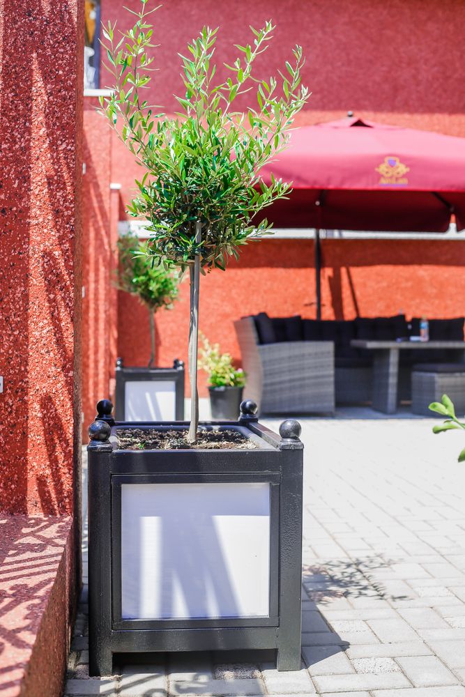 Картинка отеля - 15