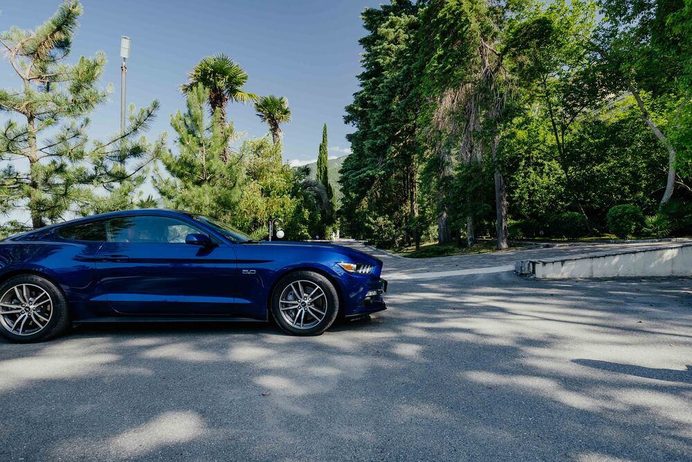 Картинка отеля - 103