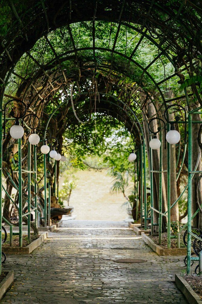 Картинка отеля - 21