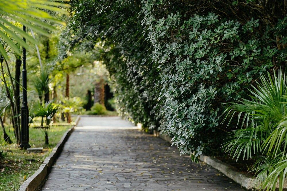 Картинка отеля - 29