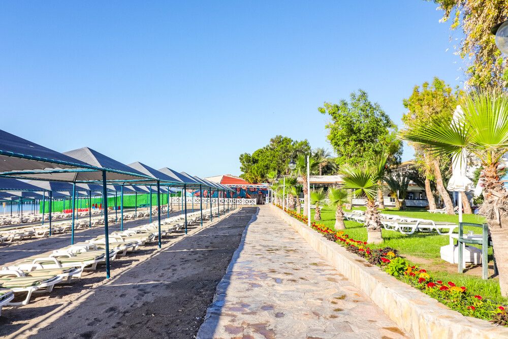 Картинка отеля - 55