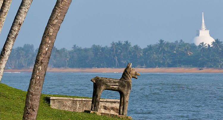 AVANI KALUTARA RESORT (Former Kani Lanka Resort & Spa) - 28