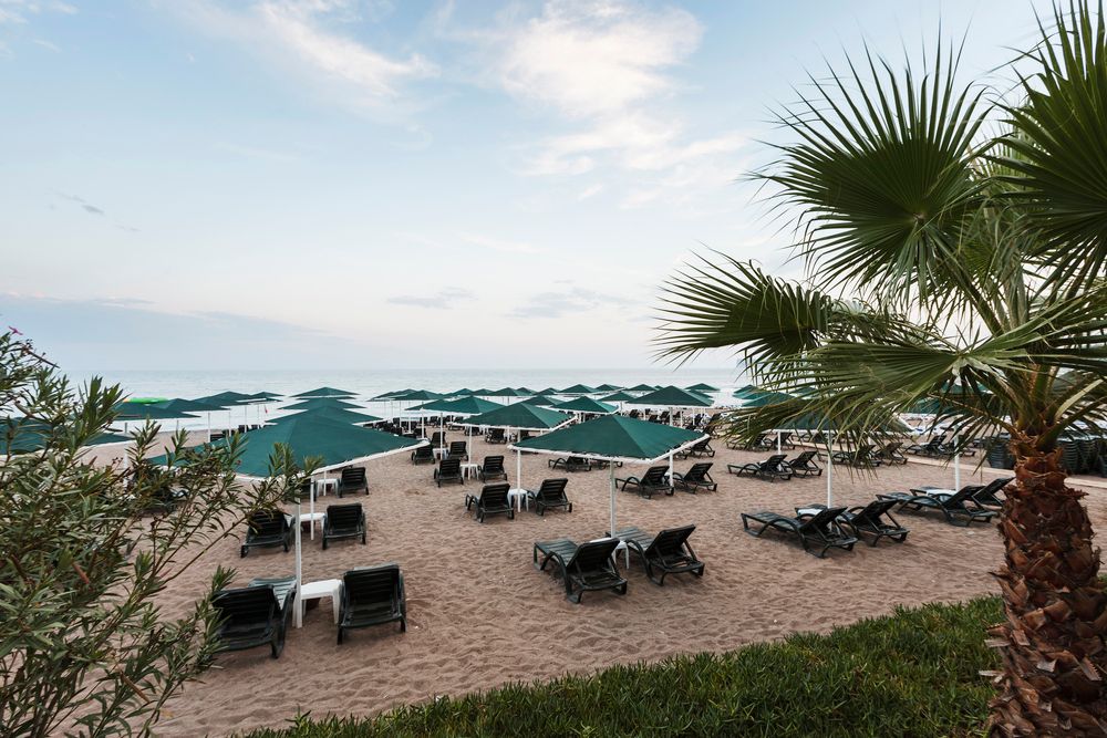 Картинка отеля - 8