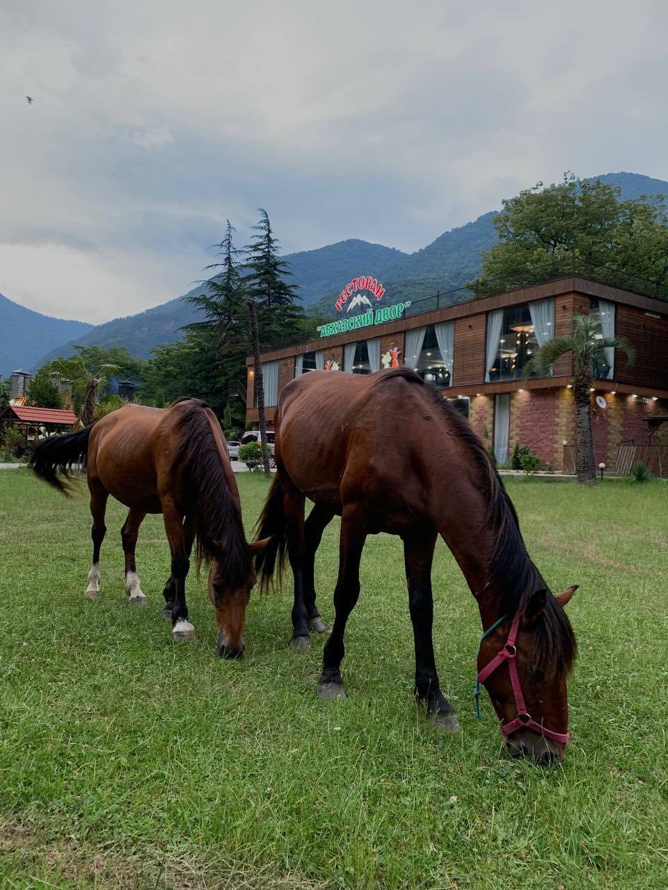 ШАЛЕ МОСТ - 26