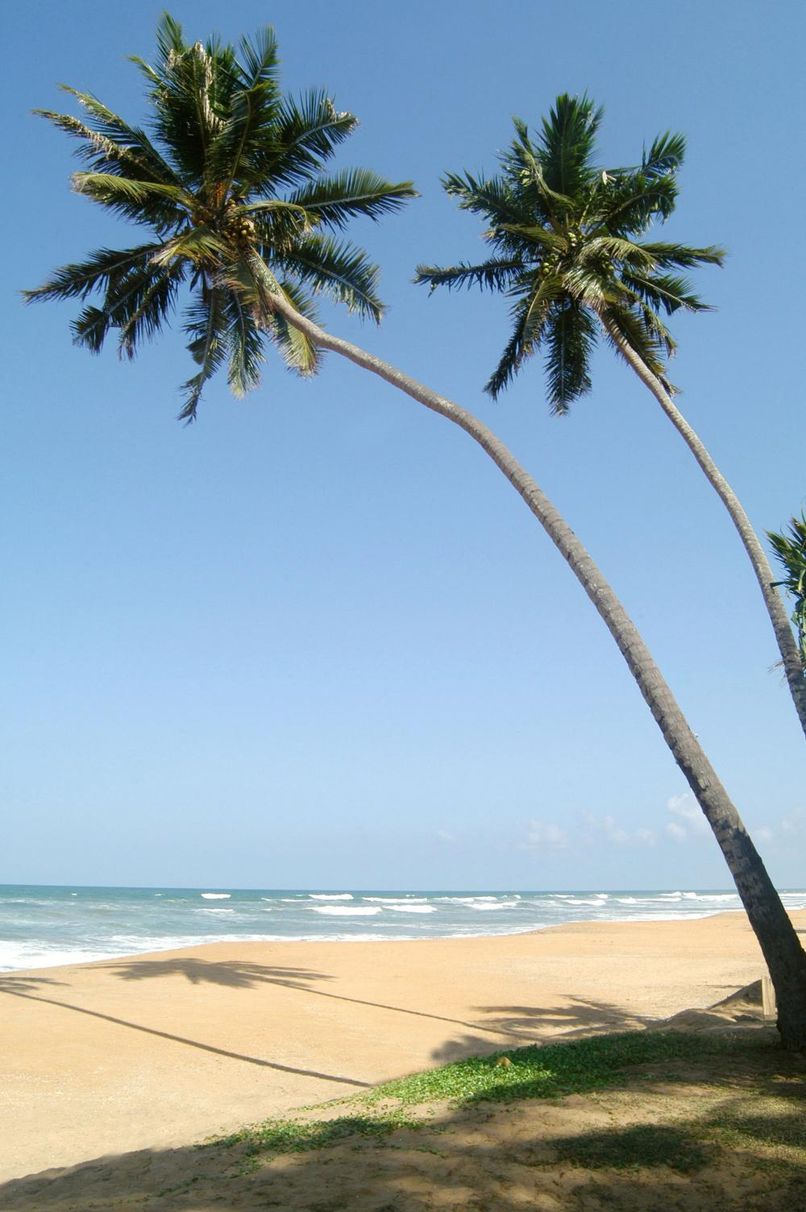 MERMAID HOTEL & CLUB - 2