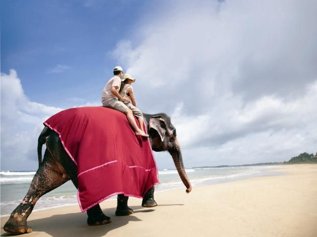 TAJ BENTOTA (ex. VIVANTA BY TAJ BENTOTA)  - 5