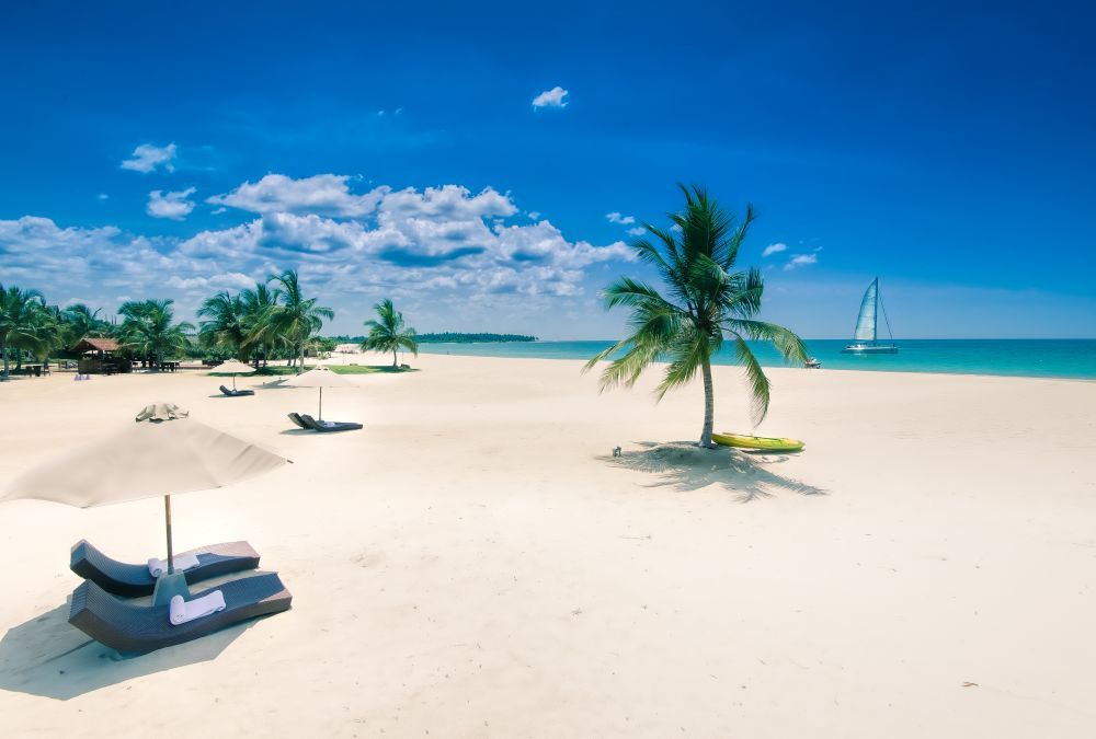 Картинка отеля - 5