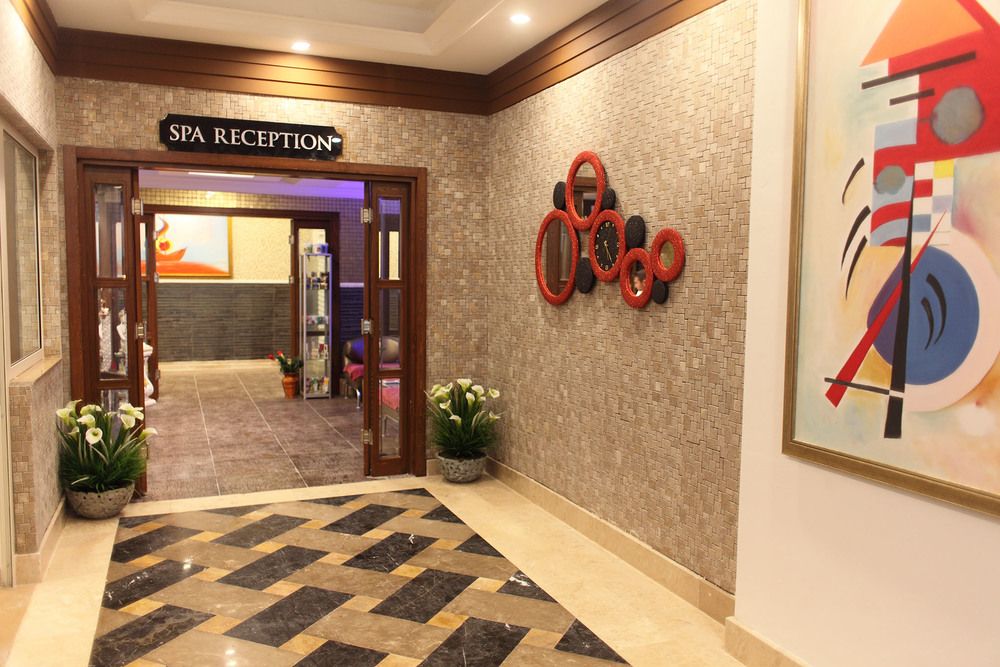 Crystal Aura Aqua Collection - 50