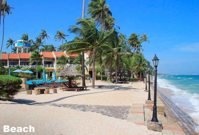 DYNASTY MUINE BEACH - 1