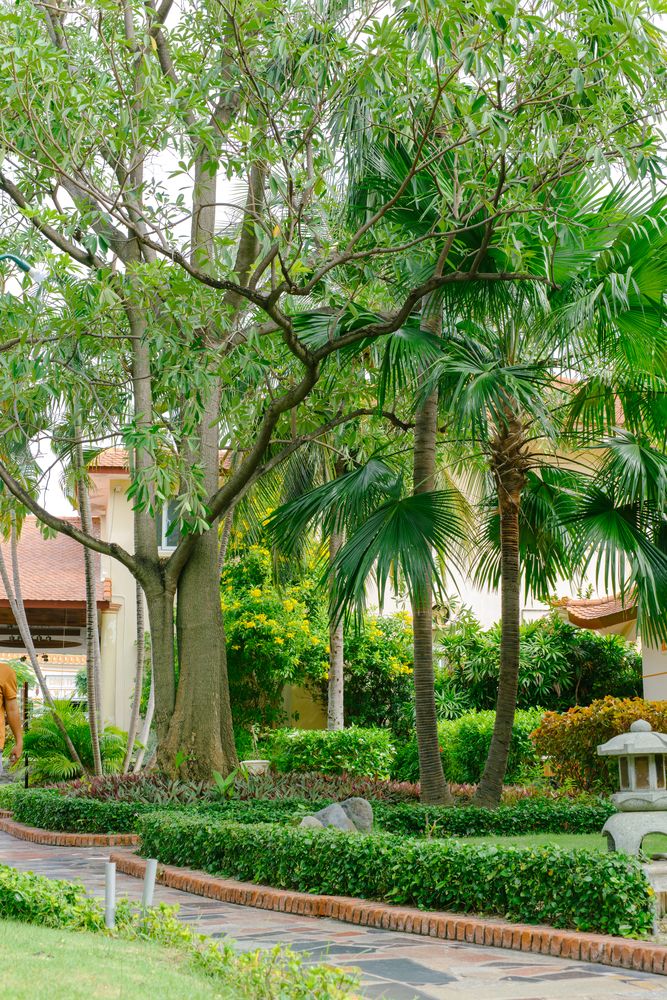 LE AQUA RESORT & SPA PHAN THIET (ex.SWISS VILLAGE RESORT) - 9