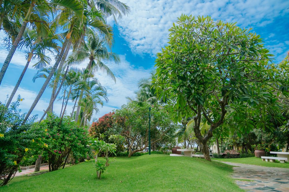 LE AQUA RESORT & SPA PHAN THIET (ex.SWISS VILLAGE RESORT) - 8