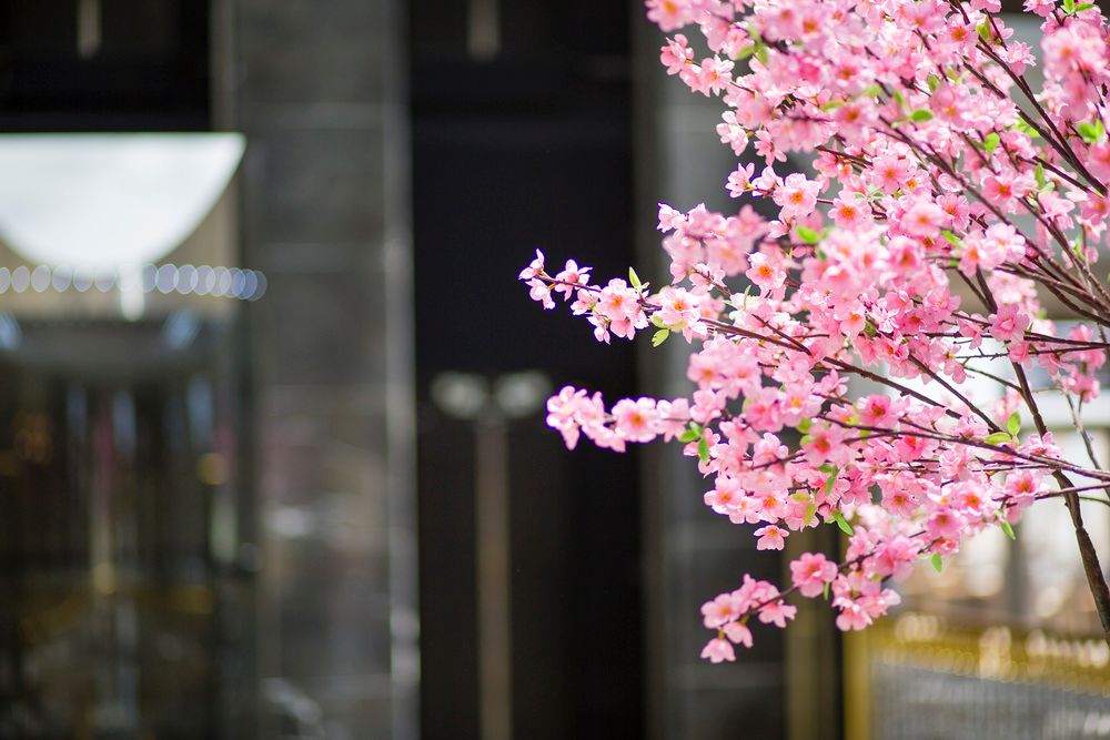 Картинка отеля - 62