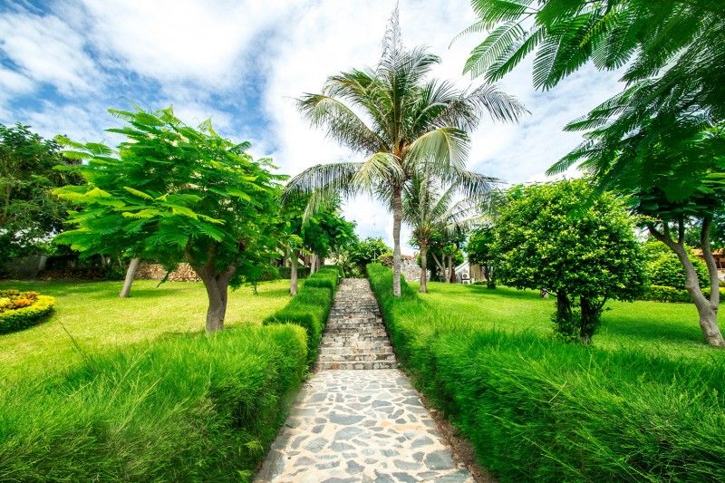 ROMANA RESORT & SPA  - 9