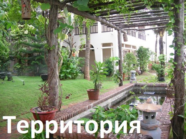 NOVELA RESORT & SPA - 8