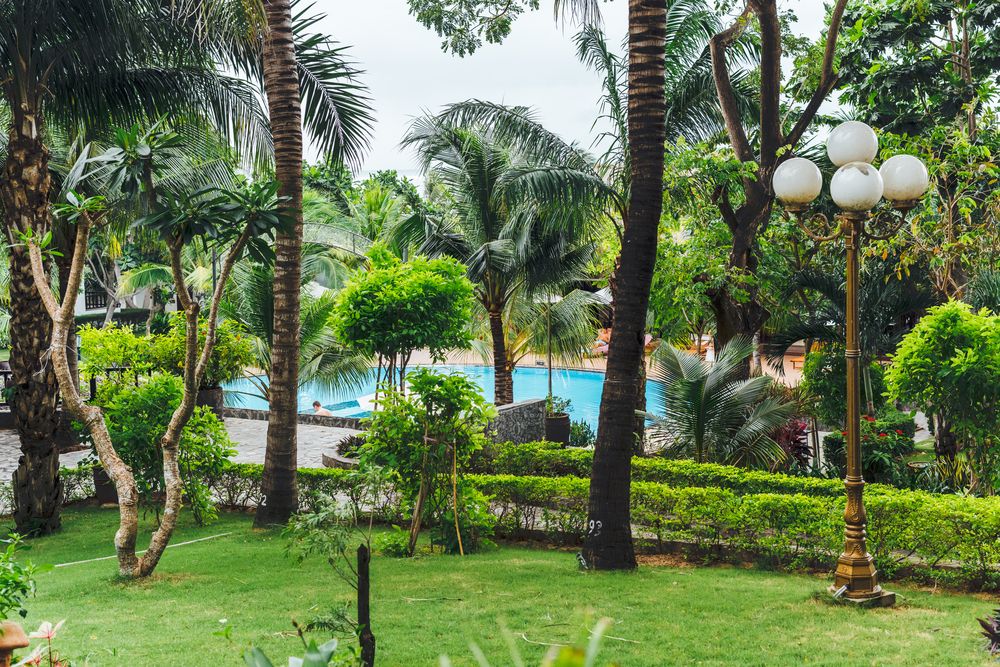 LOTUS MUI NE RESORT & SPA - 53